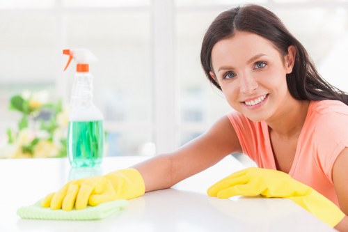 Professional upholstery cleaning in Walworth for a fresh sofa