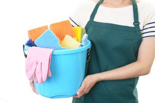 Walworth Carpet Cleaners professional carpet care introduction