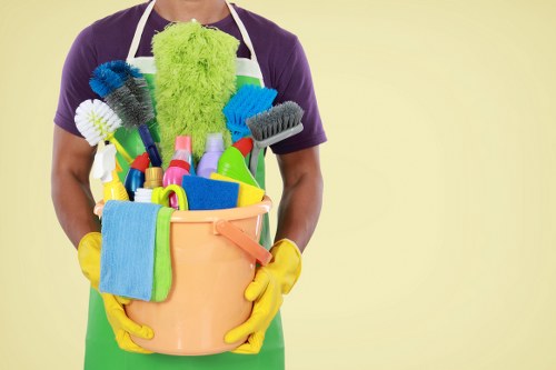 Professional sofa cleaning in a Walworth living room