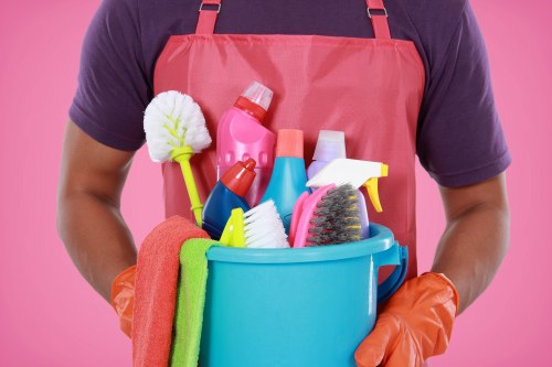 Professional carpet cleaning process with care and attention to fabric