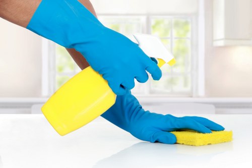 Sustainable carpet cleaning with waste separation and recycling