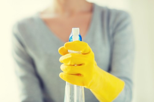 Professional carpet cleaning team following safety procedures in Walworth