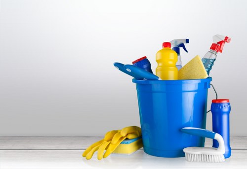Professional carpet maintenance and stain care in Walworth