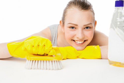 Deep cleaning treatment for a stained carpet in Walworth