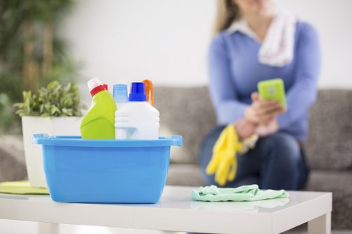 Removing stains from carpet in Walworth property