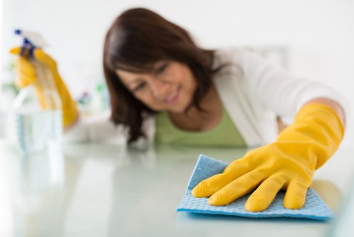 Steam carpet cleaning removing dirt and allergens