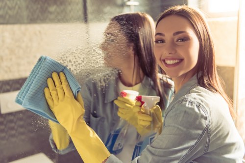 Professional pet stain odour treatment on carpet in Walworth